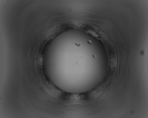 X0000091180613200708301218