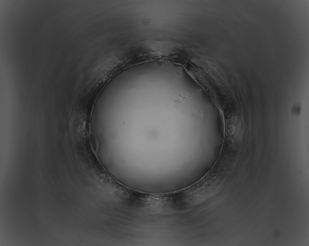 X0000091180615200708301218