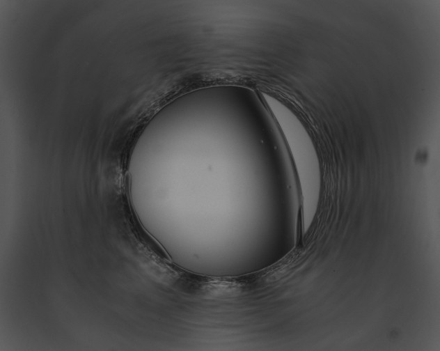 X0000091180617200708301218