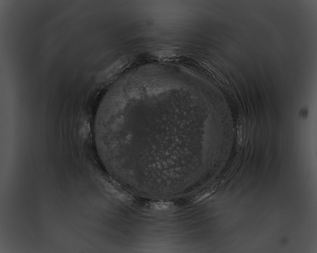 X0000091180618200708301218