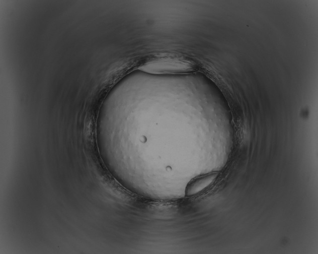 X0000091180619200708301217