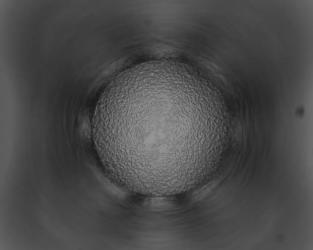 X0000091180622200708301217