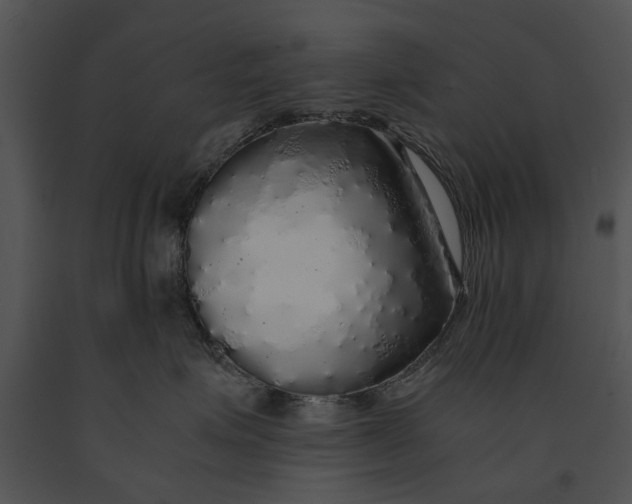 X0000091180623200708301217