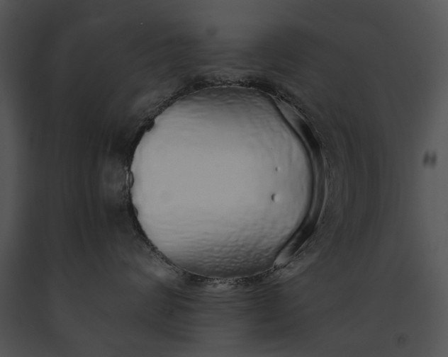X0000091180624200708301217