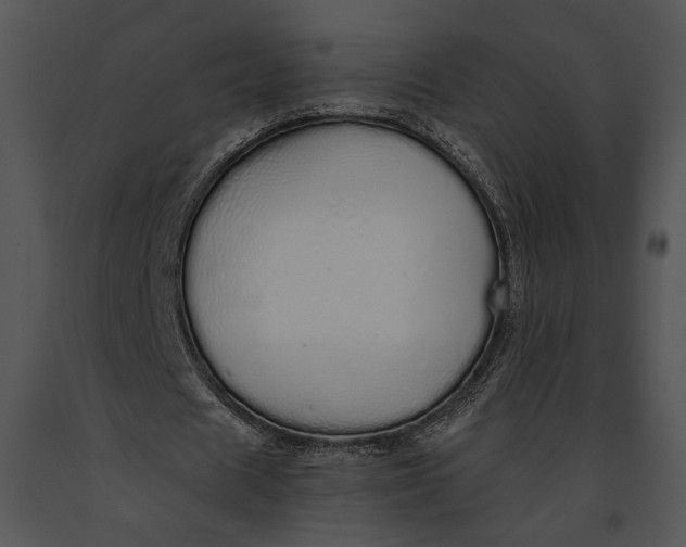 X0000091180625200708301217
