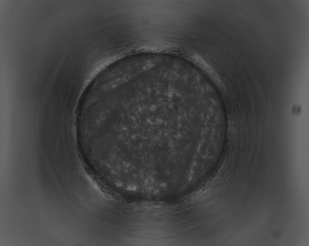 X0000091180626200708301217