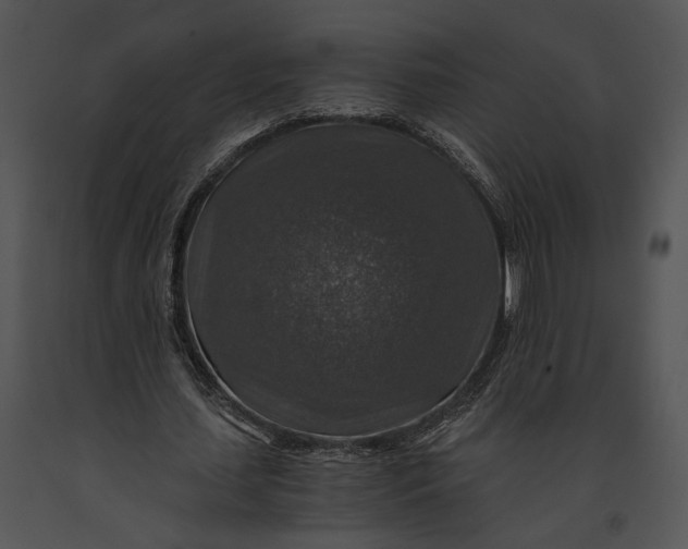 X0000091180627200708301217