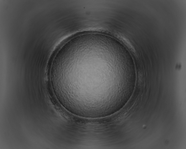 X0000091180628200708301217