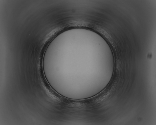 X0000091180629200708301217