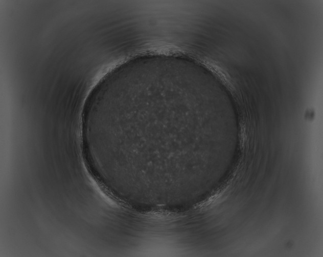 X0000091180630200708301217