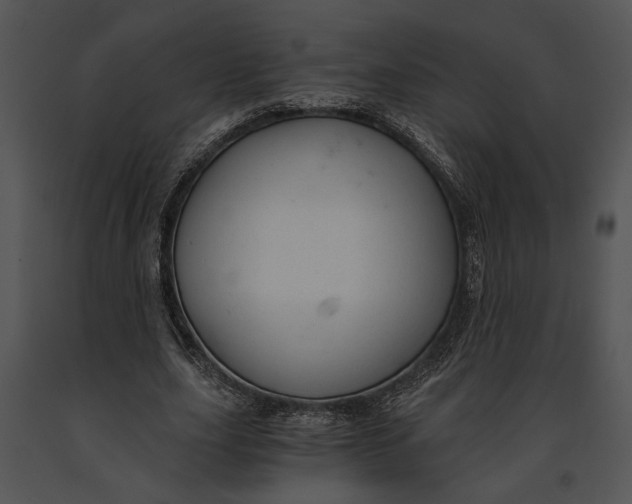 X0000091180631200708301217