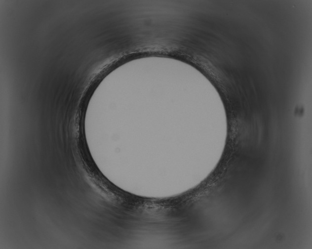 X0000091180632200708301217
