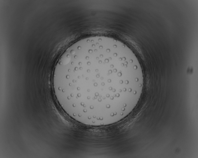X0000091180633200708301217
