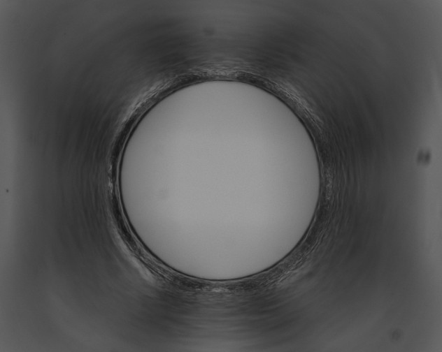 X0000091180634200708301217