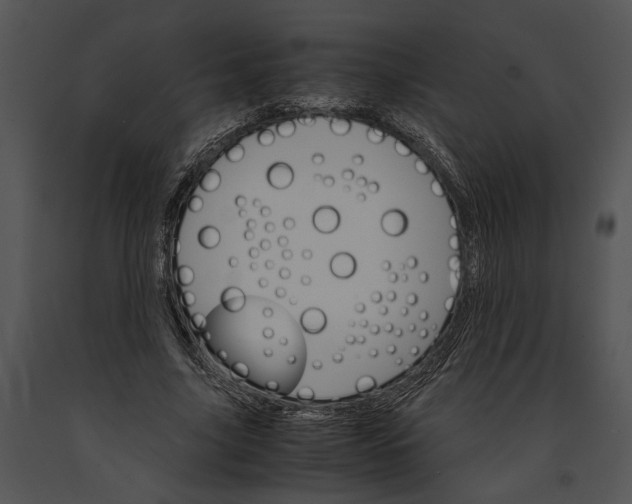 X0000091180635200708301217