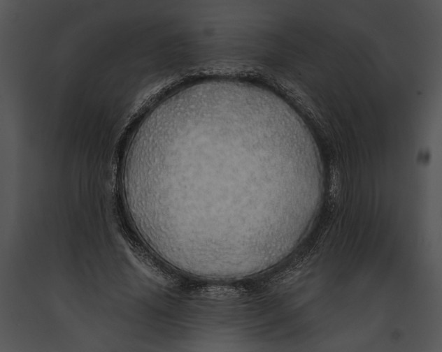 X0000091180636200708301217