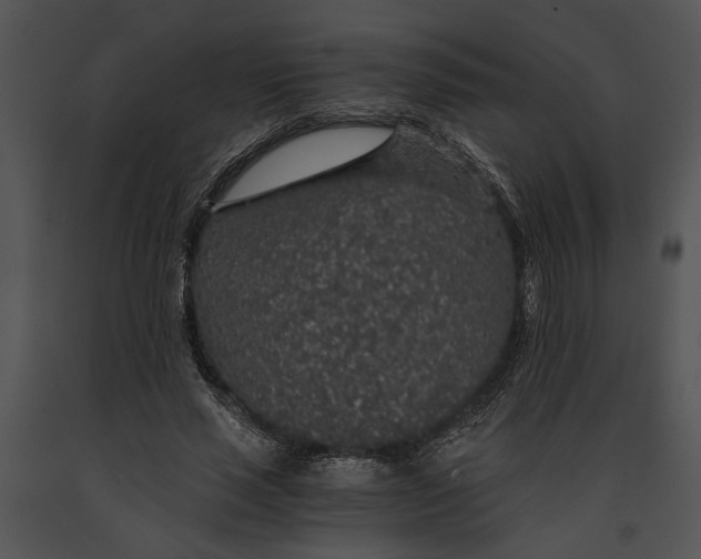 X0000091180637200708301217