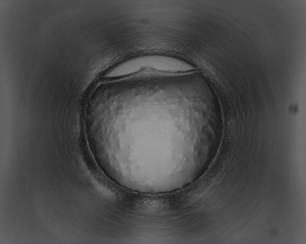 X0000091180638200708301217
