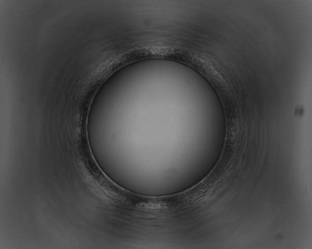X0000091180639200708301217