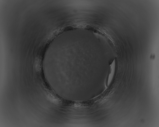 X0000091180641200708301217