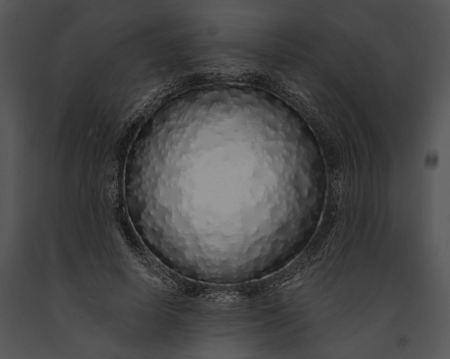X0000091180642200708301217