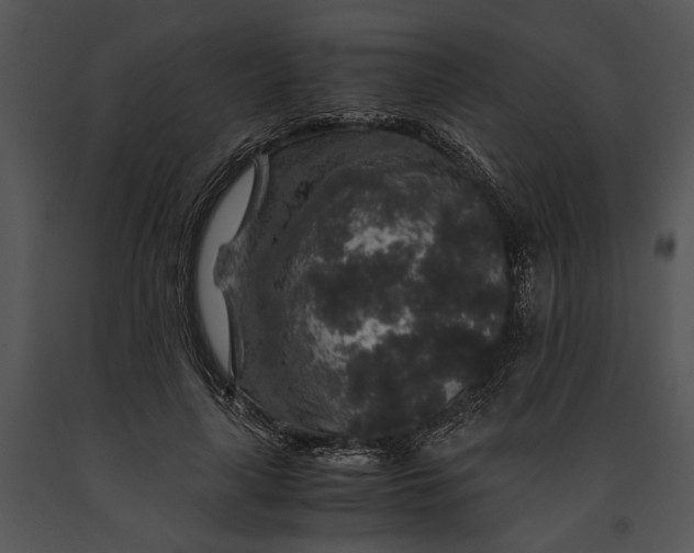 X0000091180643200708301217