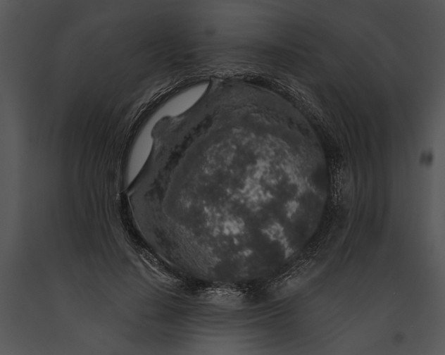 X0000091180644200708301217