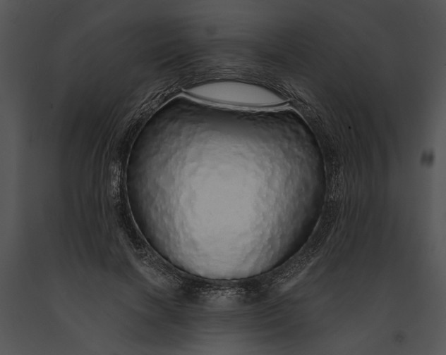 X0000091180646200708301217