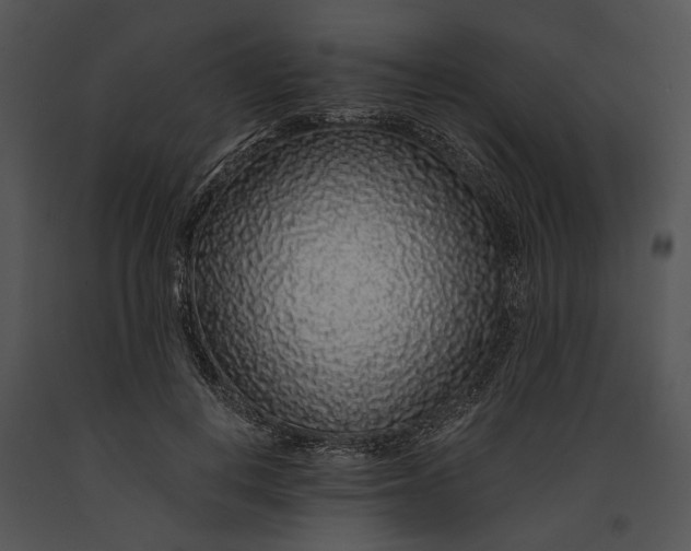 X0000091180648200708301217