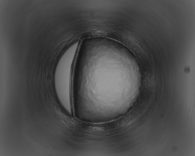 X0000091180649200708301217