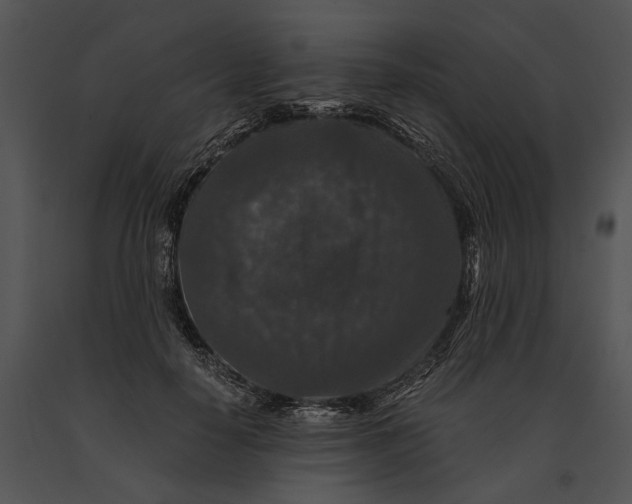 X0000091180650200708301217