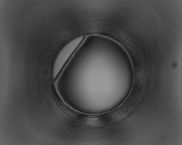 X0000091180651200708301217