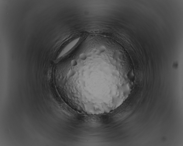 X0000091180652200708301217