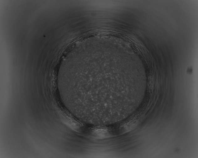 X0000091180653200708301217