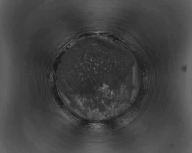 X0000091180654200708301217