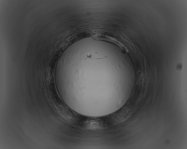 X0000091180655200708301217