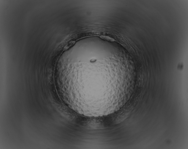 X0000091180656200708301217