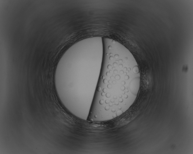 X0000091180657200708301217