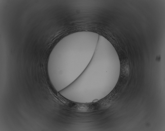 X0000091180658200708301217