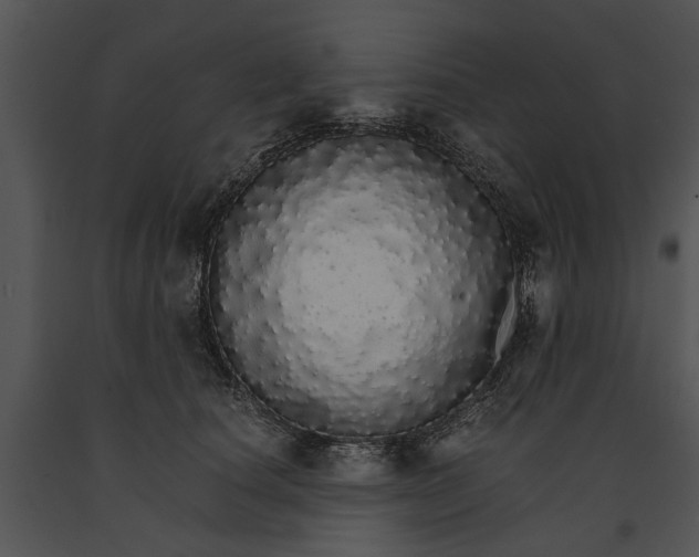 X0000091180660200708301217
