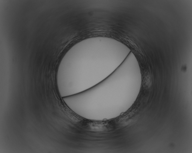 X0000091180661200708301217