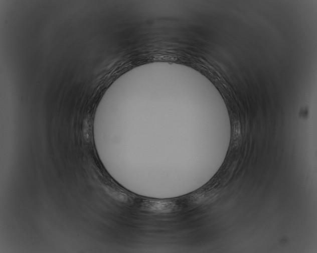 X0000091180663200708301217