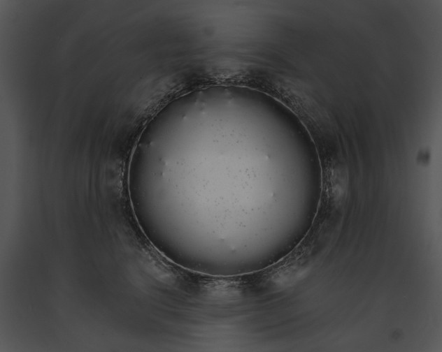 X0000091180664200708301217
