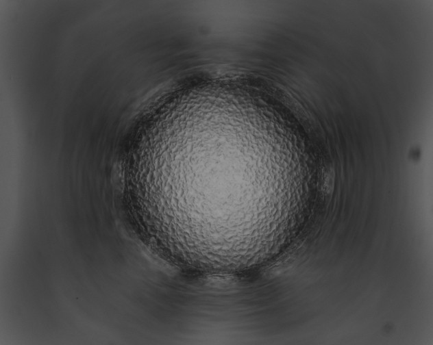 X0000091180666200708301217