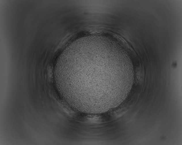 X0000091180667200708301217