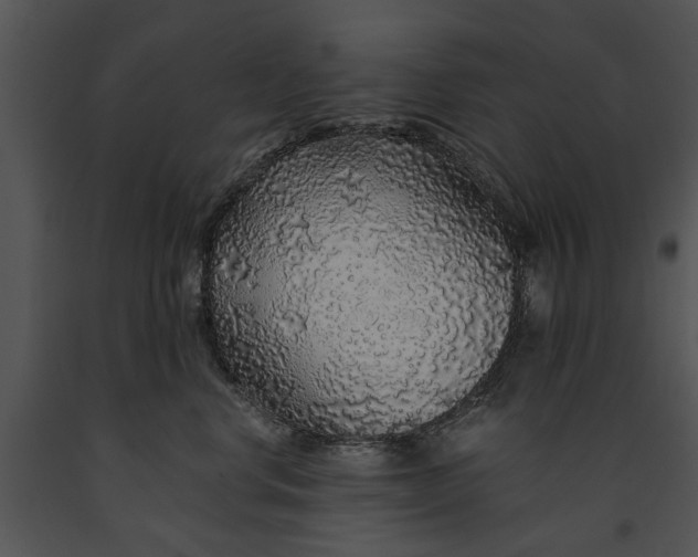 X0000091180668200708301217