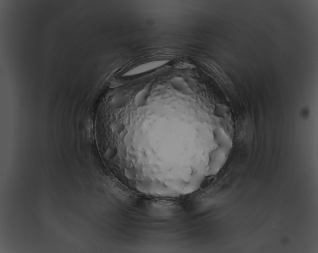 X0000091180669200708301217