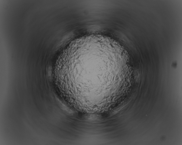 X0000091180670200708301217