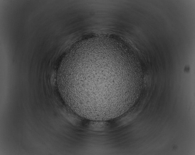 X0000091180671200708301217