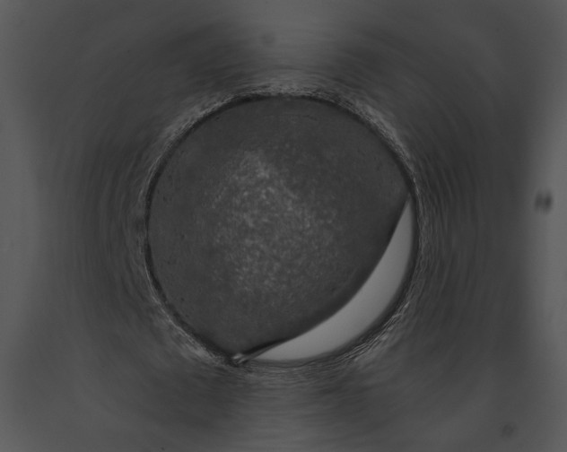 X0000091180673200708301217